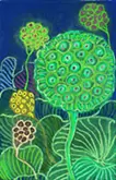 Lotus Seed
