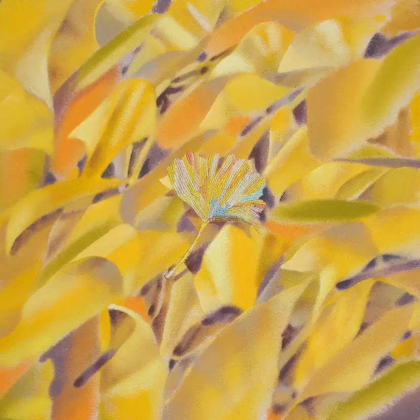 flutter by 福嶋 さくら |  Sakura Fukushima