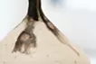 SAKURA MILK VASE_KA-1