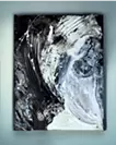 阴和阳