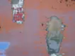 stakes on the water 3