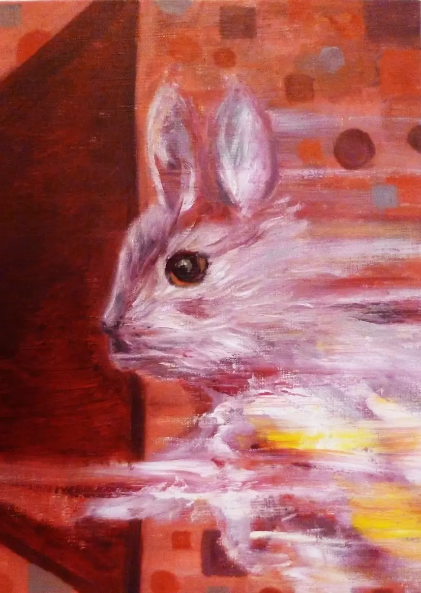 Photon rabbit by Tenmi HANAGI