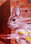 Photon rabbit