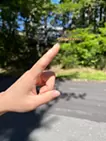 生命