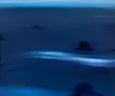 Night swimming Ⅱ