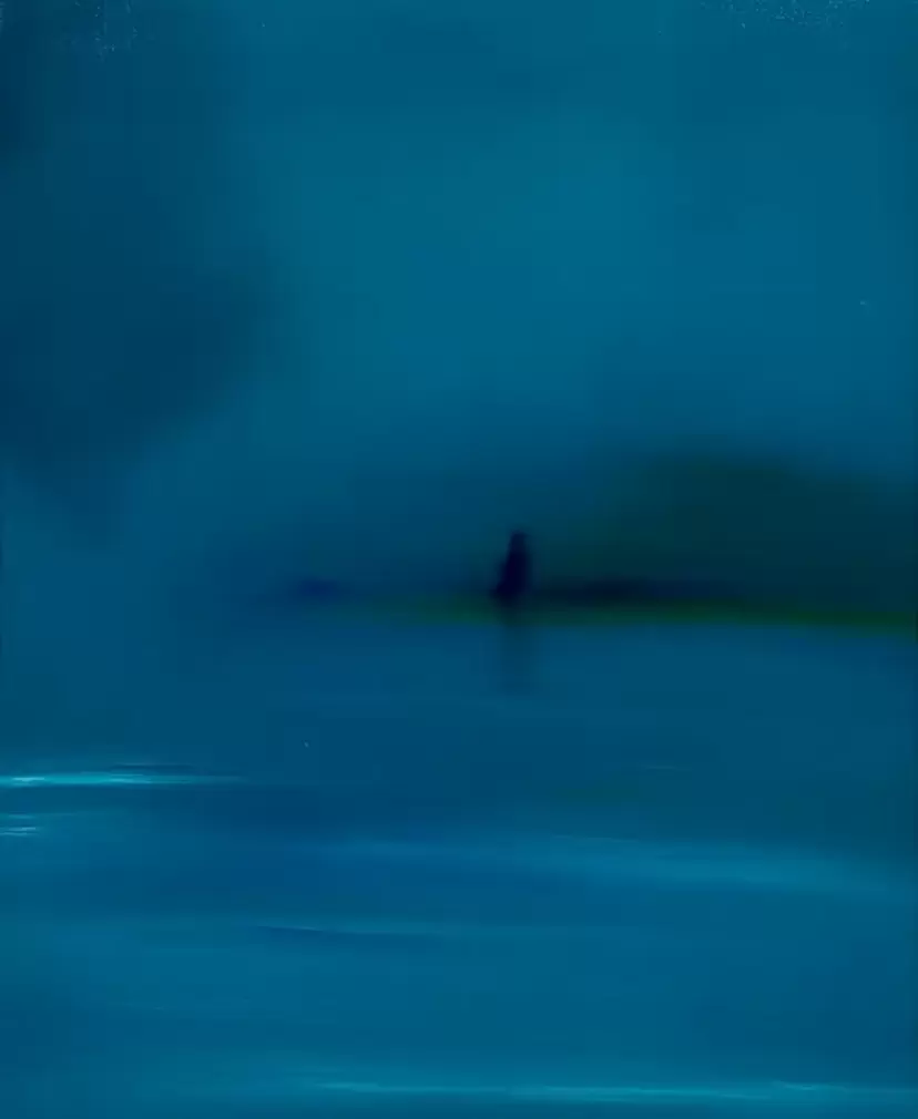 Night swimming Ⅰ