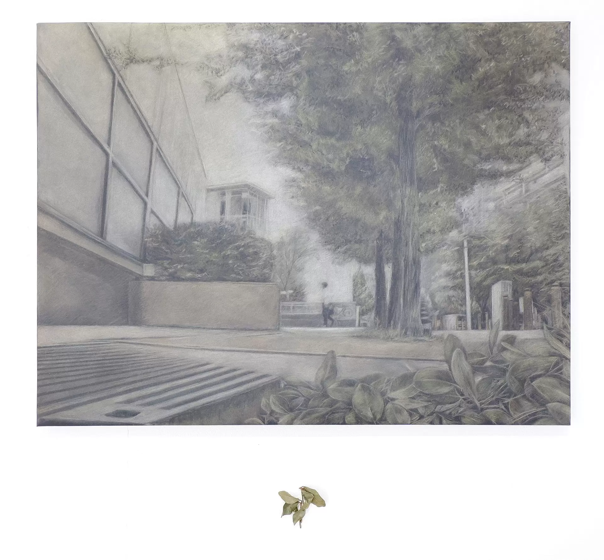 从砍下的树枝上看到的风景