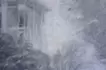 从砍下的树枝上看到的风景