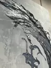 AiriX
