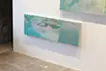 Extinct migratory fish (3)
