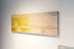 Extinct migratory fish (4) 