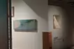 死滅回遊魚（５） 