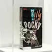 朱の鳥、紅の空(メンズポッキー)