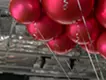 《NEVER END》「空へ」シリーズより