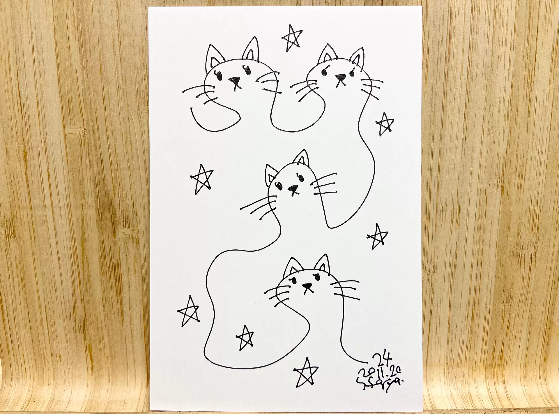 4匹の猫