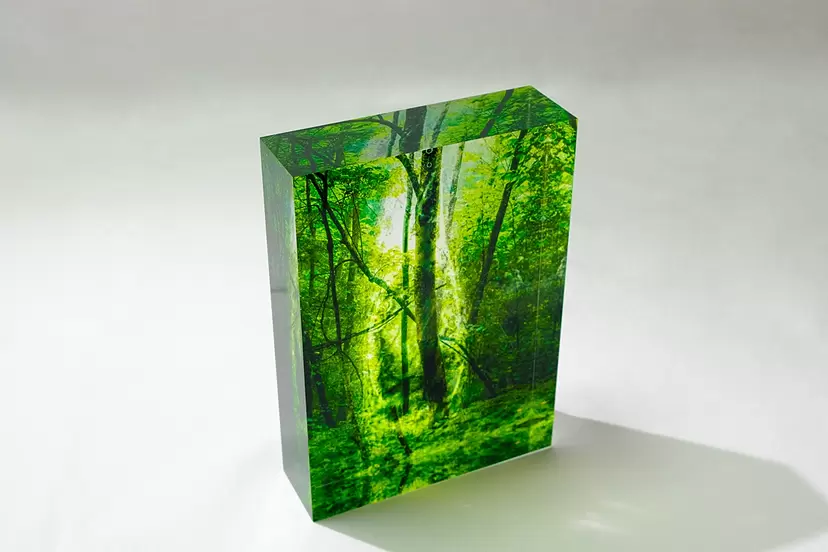 Spirit of Forest 4025 2 by 清永安雄