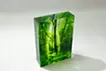 Spirit of Forest 4025 2