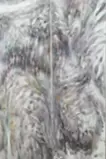 東雲篩雪図 / Animal faces