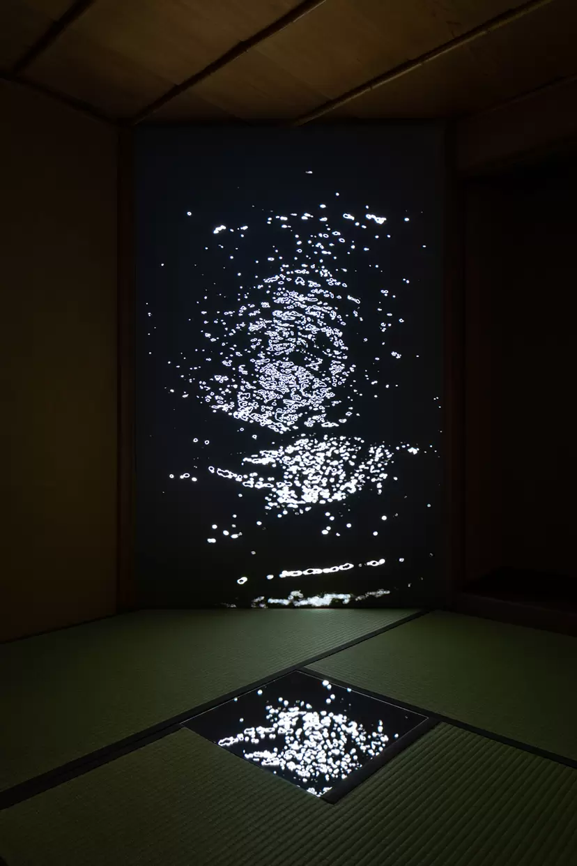 映像・ビデオのアート作品 | 現代アートの販売・通販 | ArtSticker