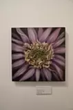 Wedding flower