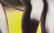 脱法ワルツ