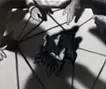 さわりあり