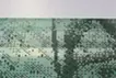inside/outside(green)