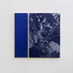 inside/outside(blue)
