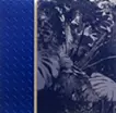 inside/outside(blue)