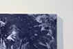 inside/outside(blue)