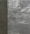 內/外部（灰色）
