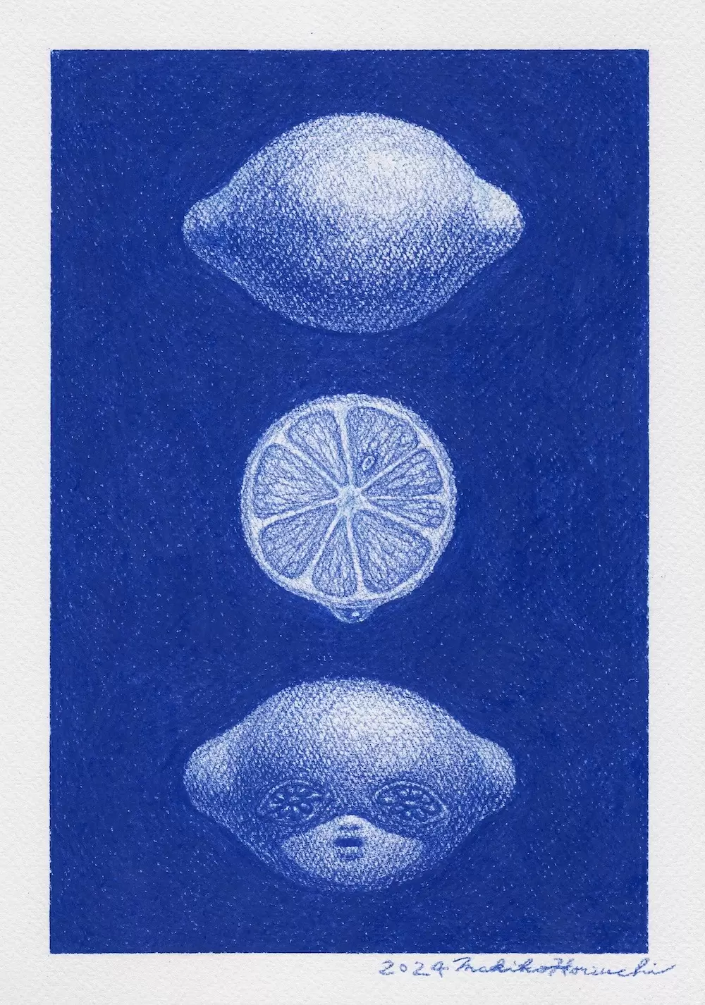 sketch〈lemon head〉