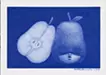 sketch〈pear head〉