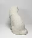 まちのおもての、そのあわい