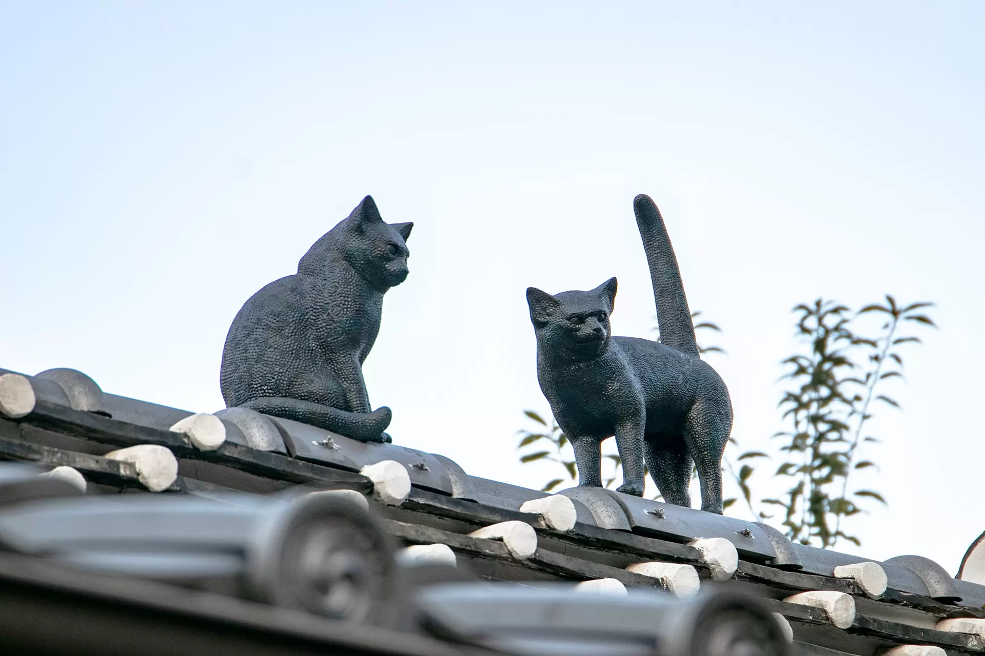糸のような三日月 by 林 麻依子 | 現代アートの販売・通販 | ArtSticker