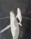 クジラ　円環