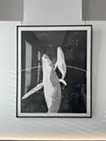 クジラ　円環