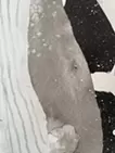 クジラ　円環