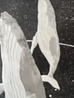 クジラ　円環