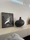 クジラ 親子