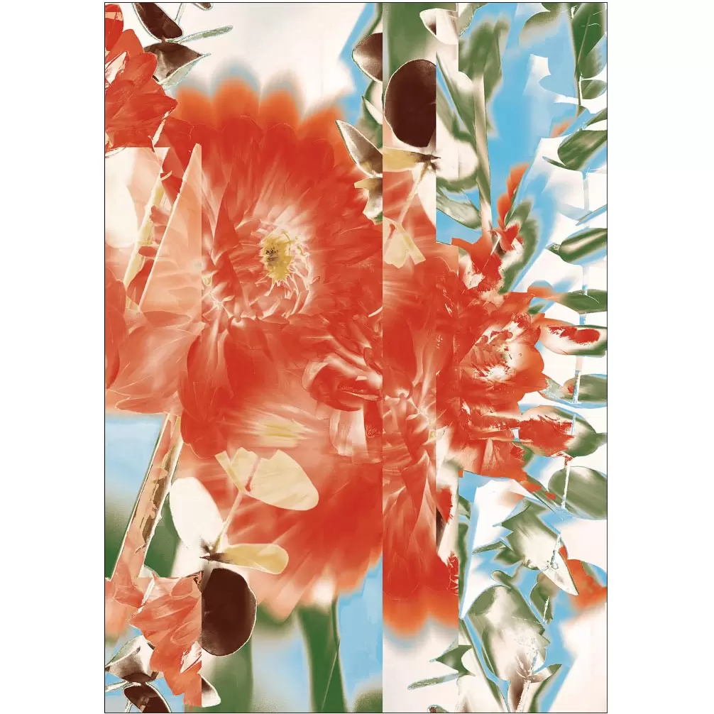 Dahlia(2024)