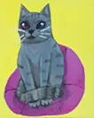 ODDEYES,RUSSIAN BLUE TIGER CAT