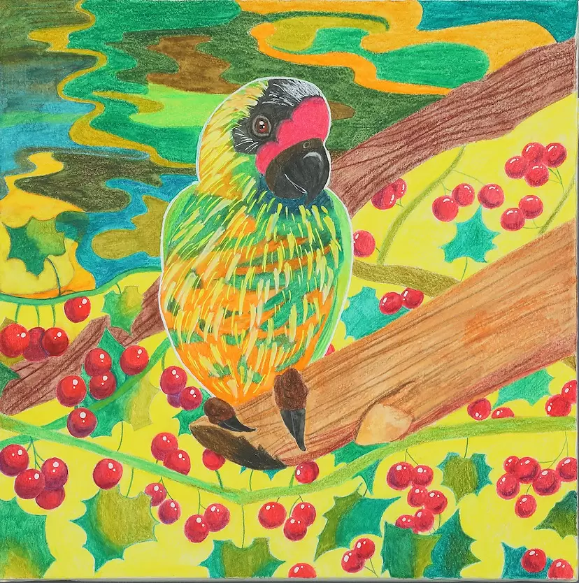 キスジインコ by 鈴木 靖葉