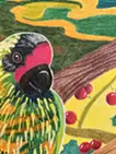 キスジインコ