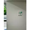緑青の庭