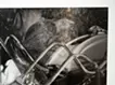 Plantoid #a